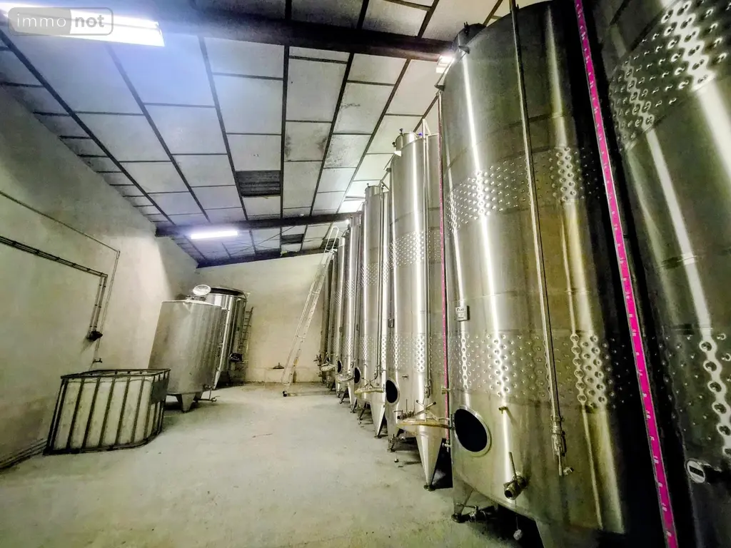 Propriete viticole a vendre Le Thoronet 83340 Var 83 775 m2 10 pièces 10045000 euros domaineviticole 008