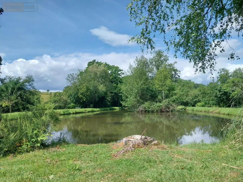 Terrains de loisirs bois etangs a vendre Le Genest-Saint-Isle 53940 Mayenne 53 66688 euros 53090-1063 001