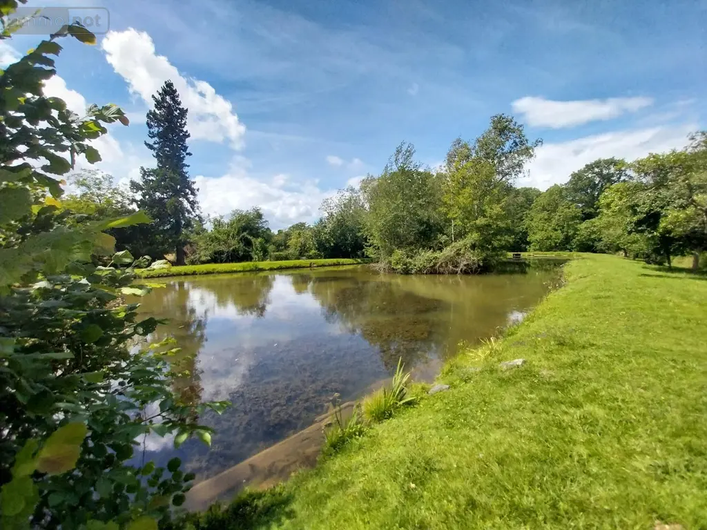 Terrains de loisirs bois etangs a vendre Le Genest-Saint-Isle 53940 Mayenne 53 66688 euros 53090-1063 003