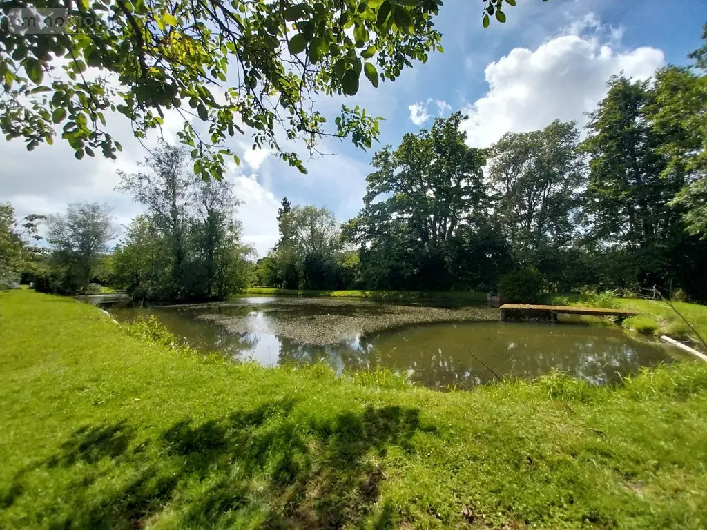 Terrains de loisirs bois etangs a vendre Le Genest-Saint-Isle 53940 Mayenne 53 66688 euros 53090-1063 004