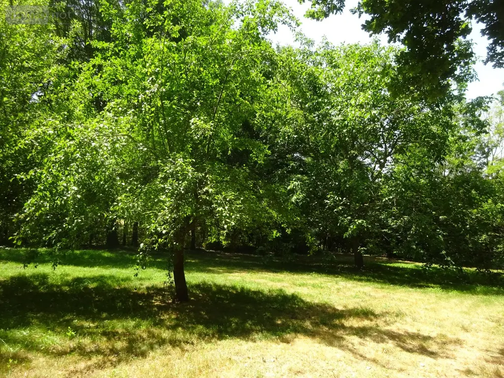 Maison a vendre Saint-Jean-Pierre-Fixte 28400 Eure-et-Loir 28 133 m2 5 pièces 238500 euros STJ 1060 027
