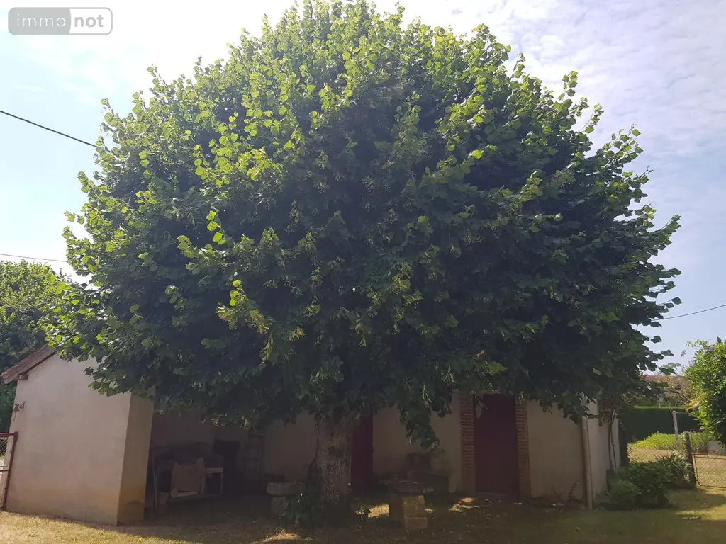 Maison a vendre Saint-Christophe-en-Bazelle 36210 Indre 36 102 m2 4 pièces 90950 euros 23 011