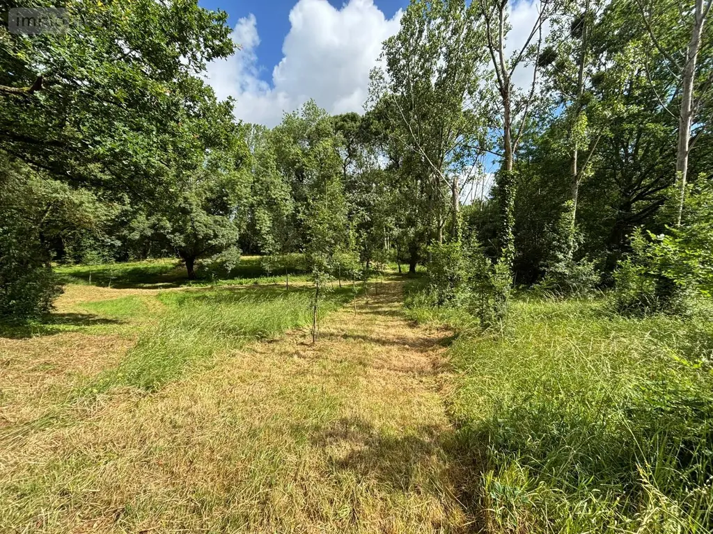 Maison a vendre Rochefort-sur-Loire 49190 Maine-et-Loire 49 93 m2 4 pièces 309750 euros achat_maison_com_49259_49190 006
