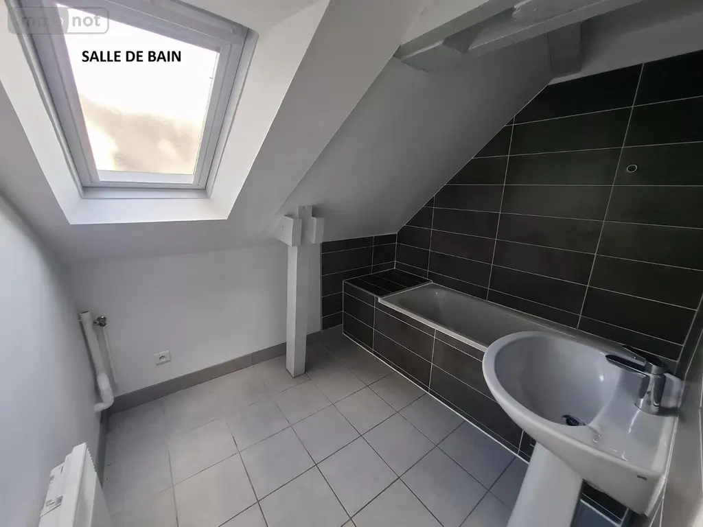 Location appartement Laval 53000 Mayenne 53 38 m2 2 pièces 580 euros 53090-1048 006