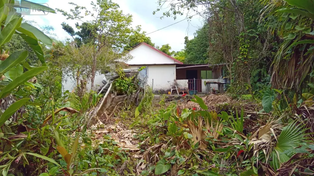 Maison a vendre Saint-Benoît 97470 La Réunion 974 60 m2 3 pièces 108000 euros achat_maison_com_97410_97470 005