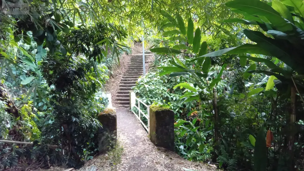 Maison a vendre Saint-Benoît 97470 La Réunion 974 60 m2 3 pièces 108000 euros achat_maison_com_97410_97470 004