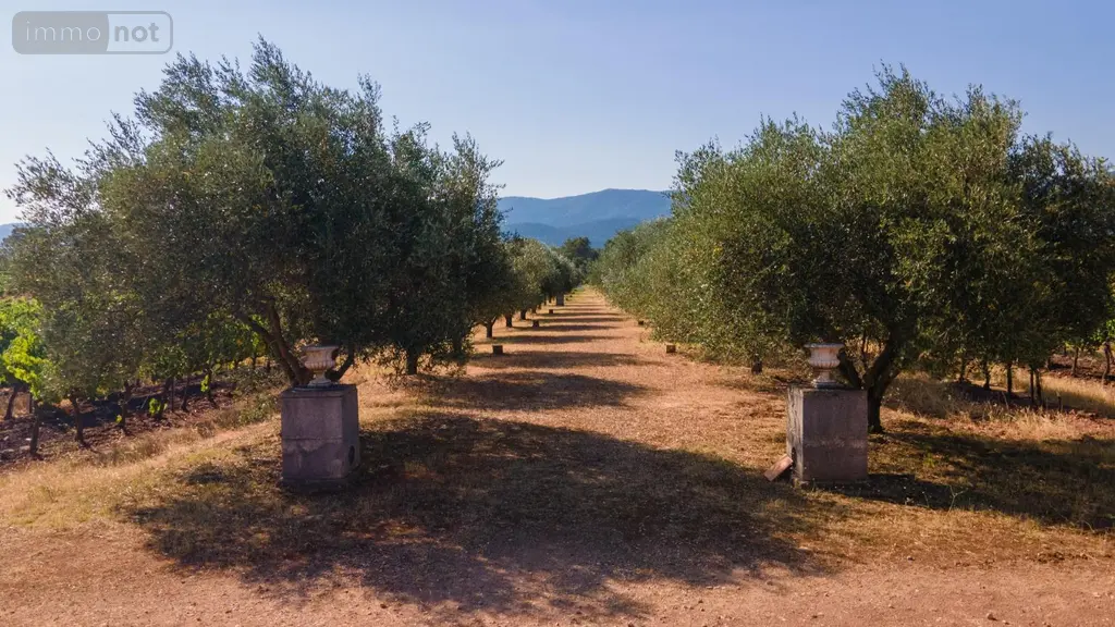 Propriete viticole a vendre Gonfaron 83590 Var 83 420 m2 1450000 euros domainegonfaron 007
