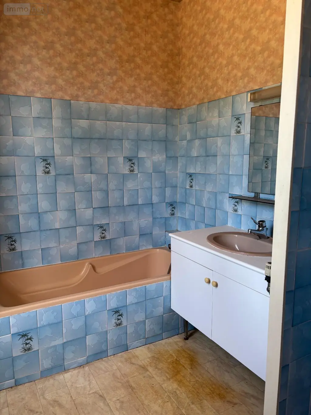 Maison a vendre Vierzon 18100 Cher 18 53 m2 2 pièces 41000 euros 1806725 005