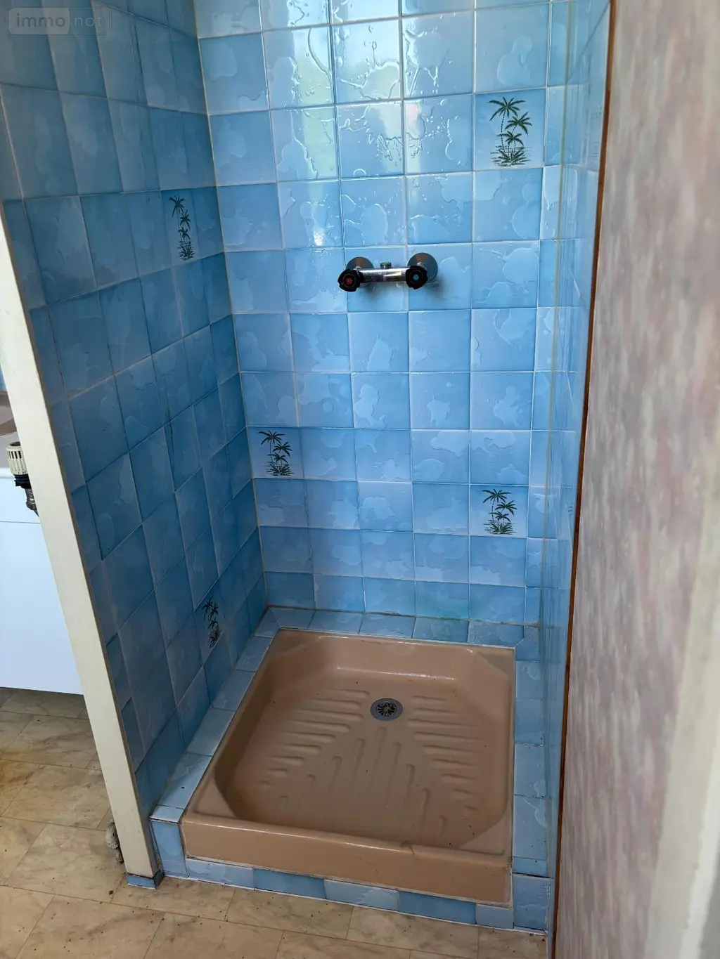 Maison a vendre Vierzon 18100 Cher 18 53 m2 2 pièces 41000 euros 1806725 006