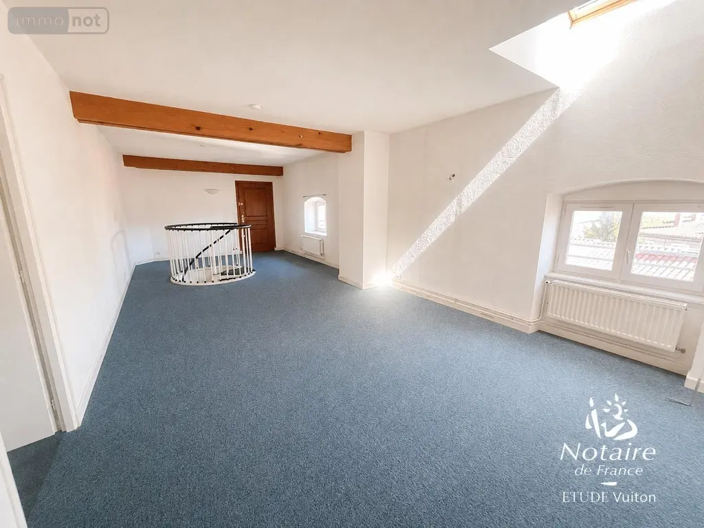 Viager appartement Bourg-en-Bresse 01000 Ain 01 142 m2 6 pièces 68000 euros viager_appartement_com_01053_01000 006
