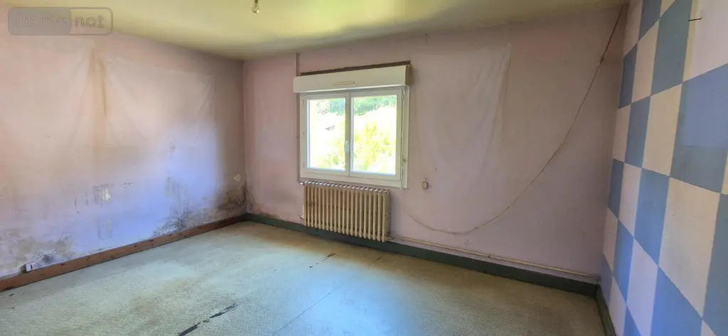 Immeuble de rapport a vendre Boëssé-le-Sec 72400 Sarthe 72 148 m2 8 pièces 53100 euros 503 006