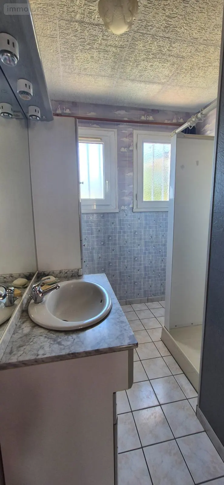 Maison a vendre Melleray 72320 Sarthe 72 87 m2 6 pièces 106100 euros 505 007