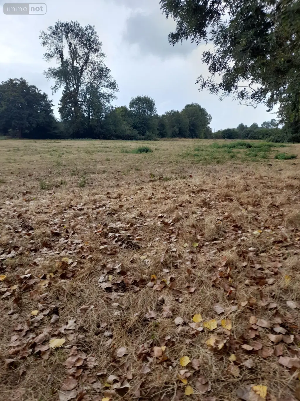 Propriete a vendre Grigneuseville 76850 Seine-Maritime 76 124 m2 4 pièces 249900 euros V13 016