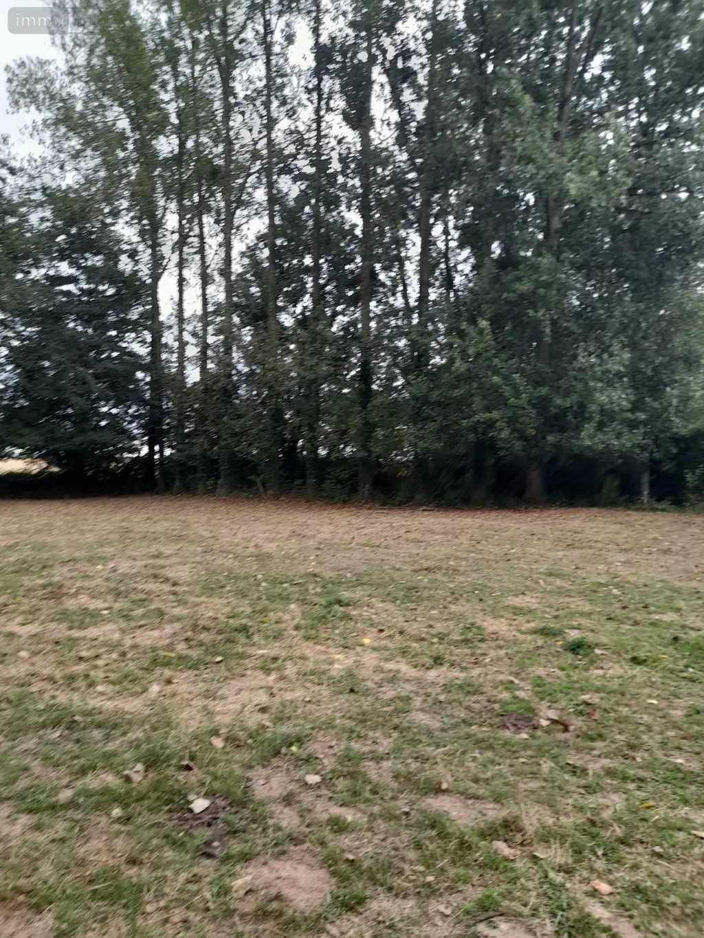 Propriete a vendre Grigneuseville 76850 Seine-Maritime 76 124 m2 4 pièces 249900 euros V13 019