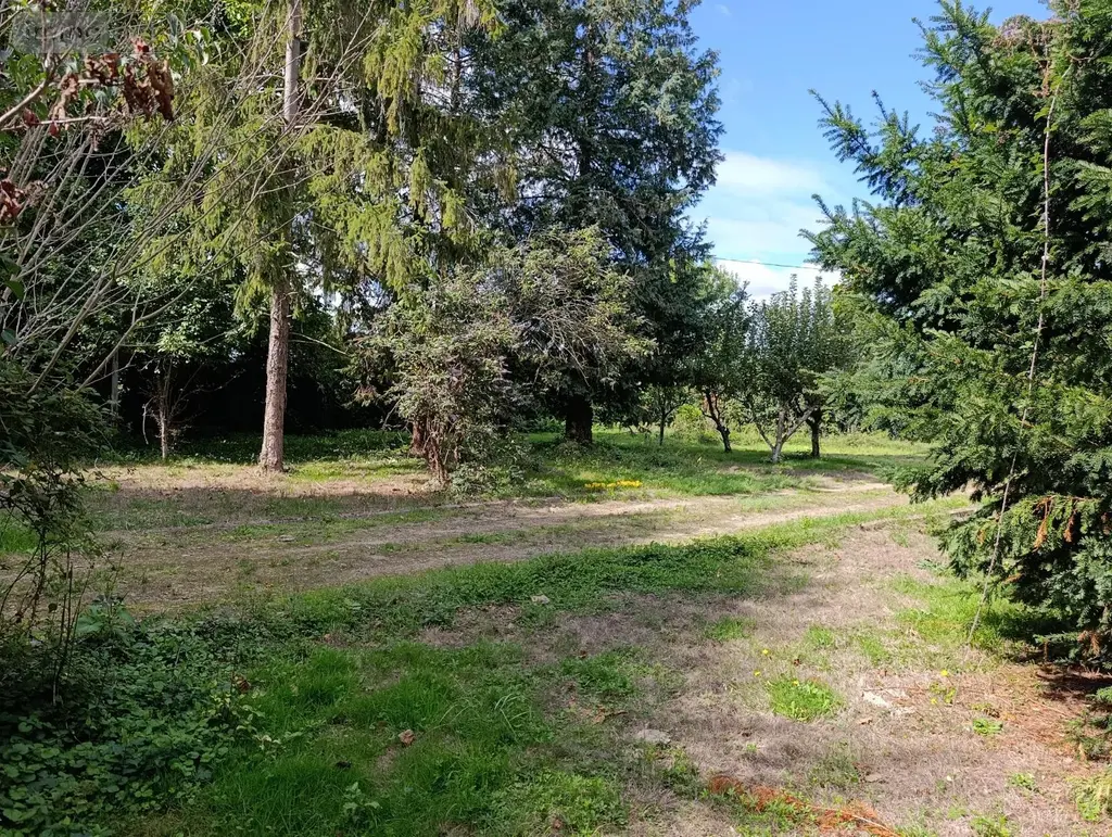Terrains de loisirs bois etangs a vendre Savigné-sur-Lathan 37340 Indre-et-Loire 37 68093 euros achat_terrain_de_loisir_bois_etang_com_37241_37340 009