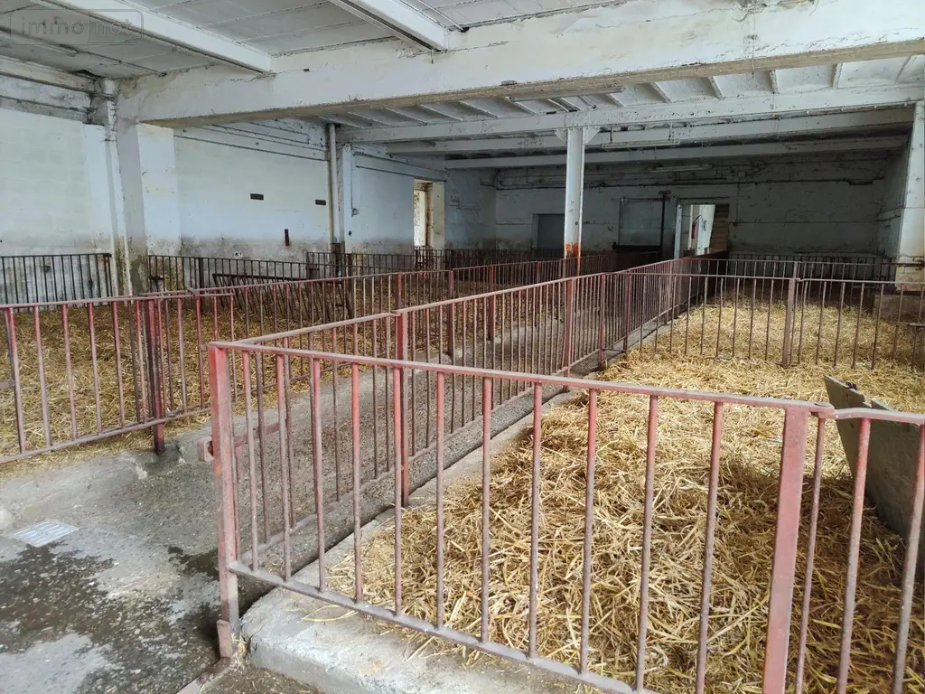 Maison a vendre Étrœungt 59219 Nord 59 297 m2 12 pièces 566450 euros A2026 00234 009