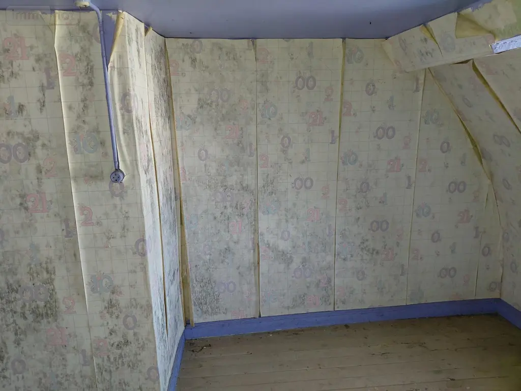 Maison a vendre Origny-Sainte-Benoite 02390 Aisne 02 313 m2 19 pièces 146515 euros 204387 035