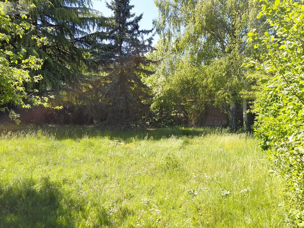 Maison a vendre Pleine-Selve 02240 Aisne 02 123 m2 4 pièces 120515 euros 204419 021
