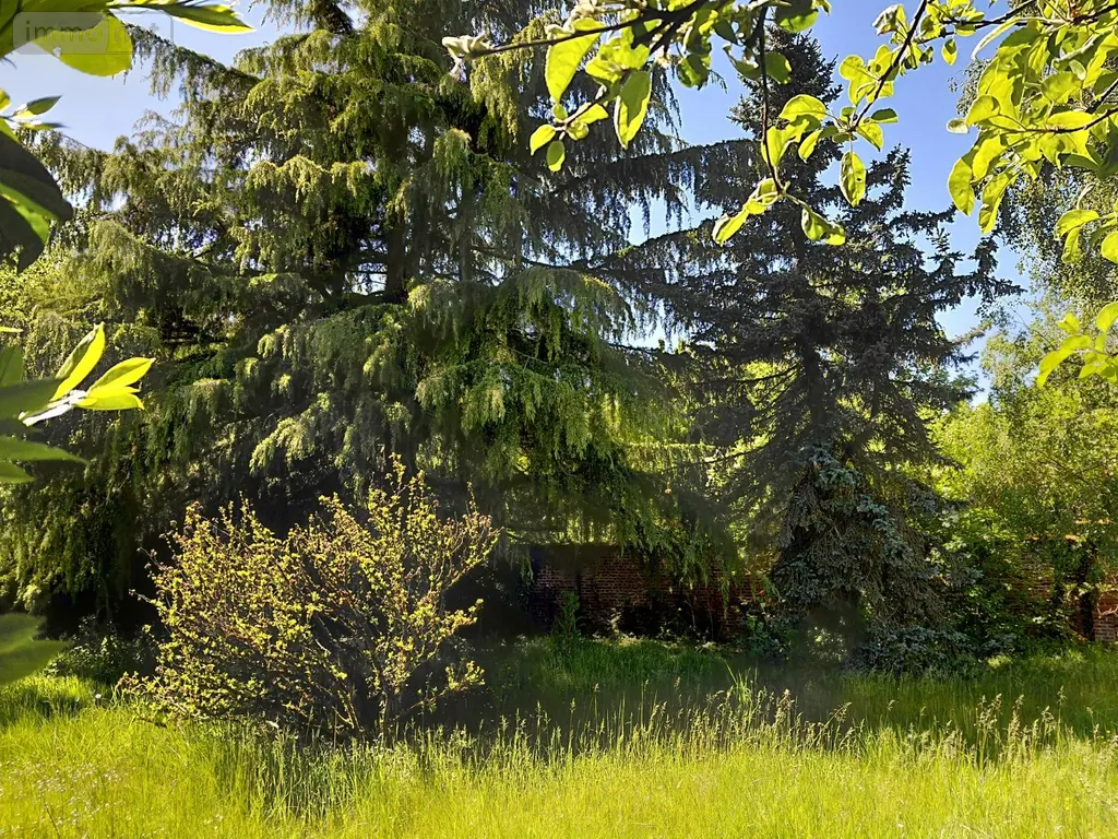 Maison a vendre Pleine-Selve 02240 Aisne 02 123 m2 4 pièces 120515 euros 204419 024