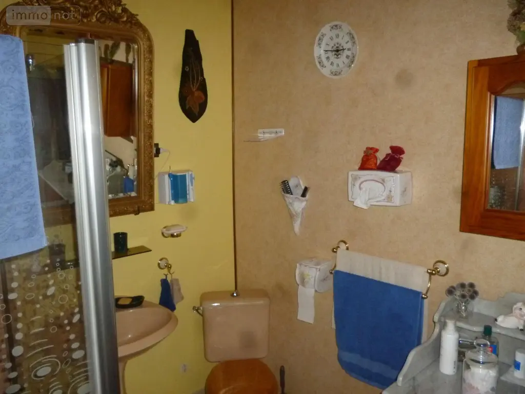 Maison a vendre Brissy-Hamégicourt 02240 Aisne 02 71 m2 4 pièces 67475 euros 203700 016
