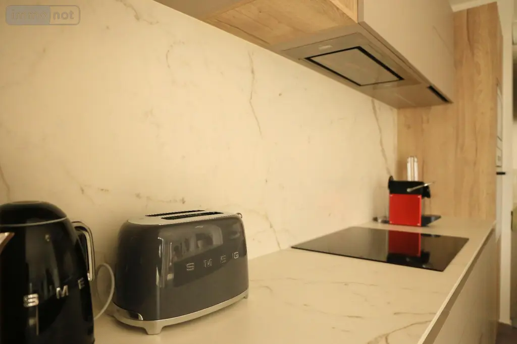 Appartement a vendre Berck 62600 Pas-de-Calais 62 102 m2 4 pièces 489000 euros VP 005
