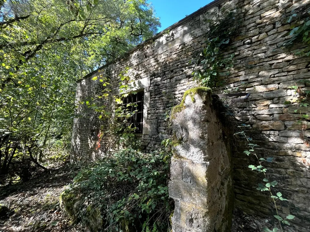 Propriete a vendre Coublanc 52500 Haute-Marne 52 300 m2 11 pièces 254400 euros SGML116706 005