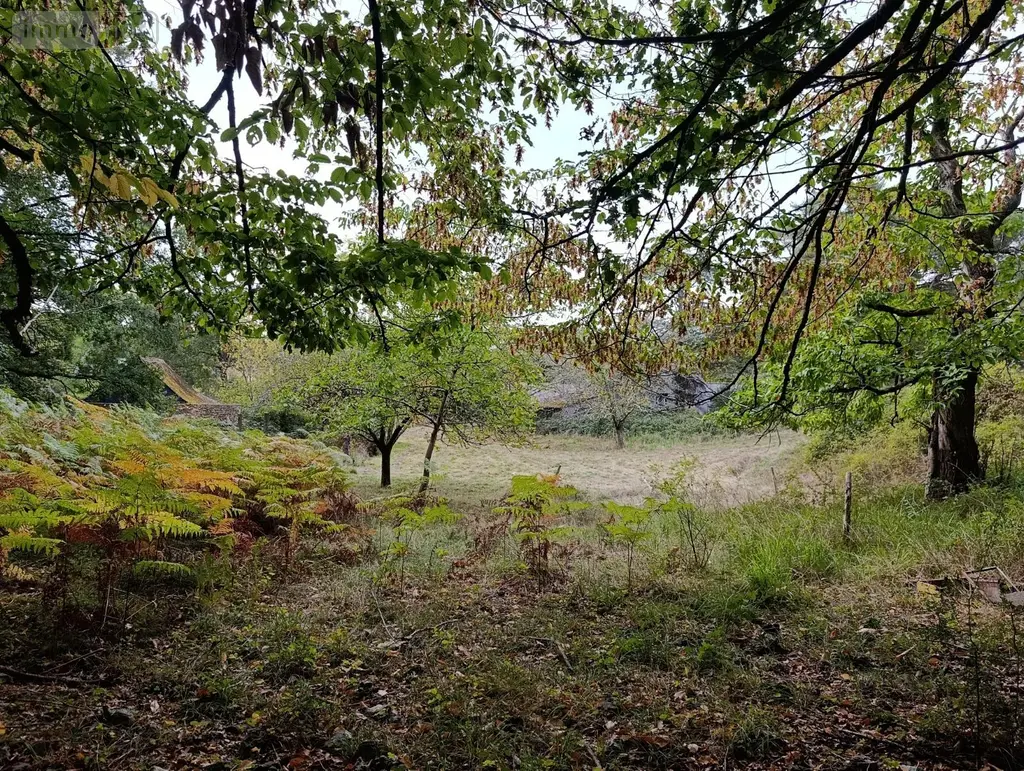 Maison a vendre Langeais 37130 Indre-et-Loire 37 198 m2 4 pièces 395052 euros achat_maison_com_37123_37130 004