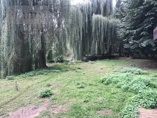 Terrains de loisirs bois etangs a vendre Laniscourt 02000 Aisne 02 95500 euros 1085 009