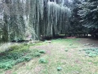Terrains de loisirs bois etangs a vendre Laniscourt 02000 Aisne 02 95500 euros 1085 012