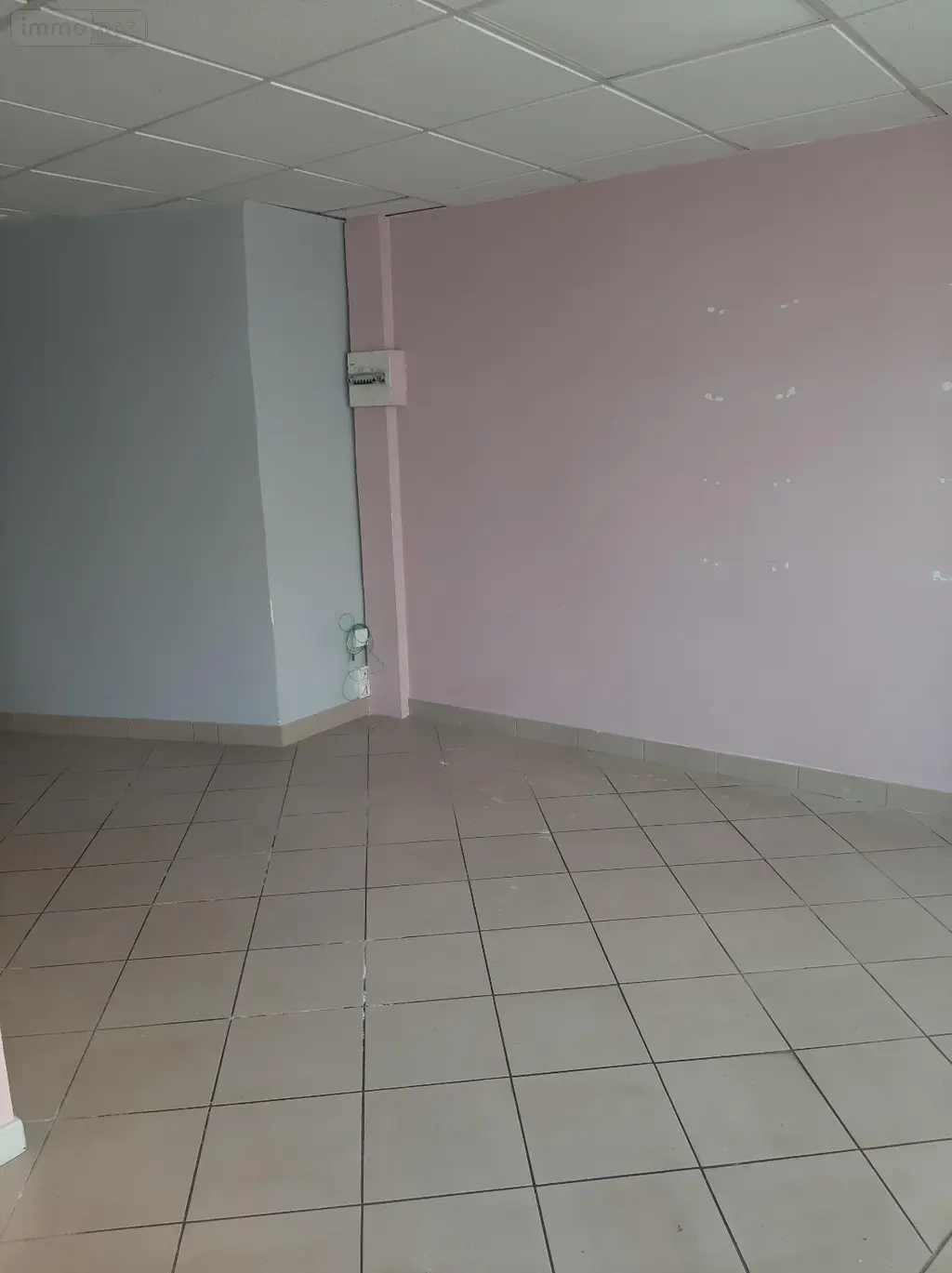 Location fonds et murs commerciaux Pollionnay 69290 Rhône 69 507 euros 250957 001