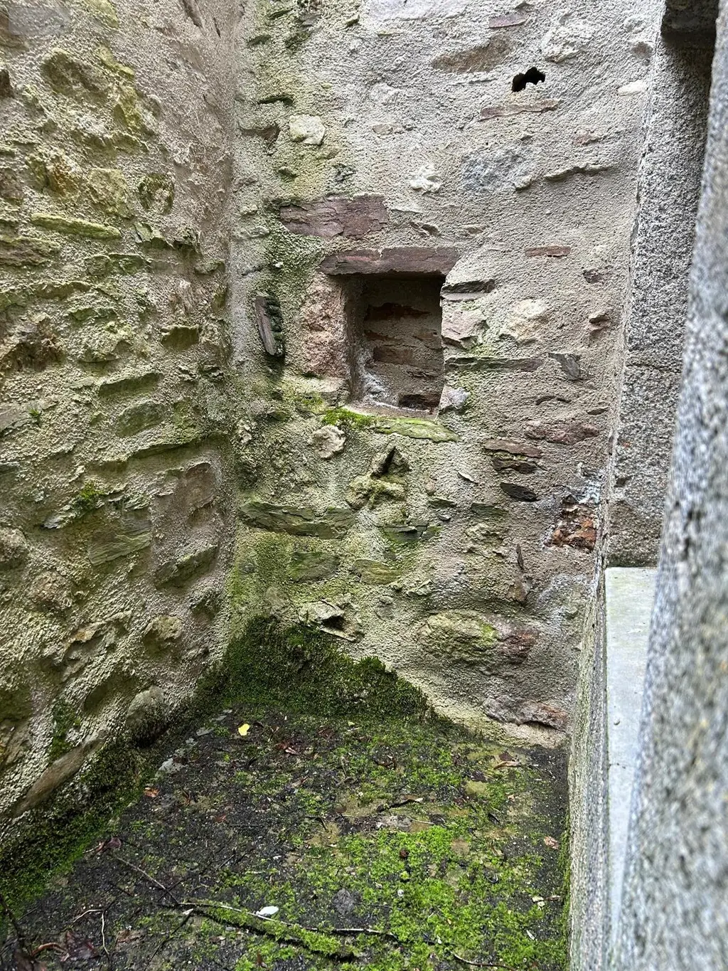 Maison a vendre Chaudes-Aigues 15110 Cantal 15 82 m2 2 pièces 47700 euros 1003128 002