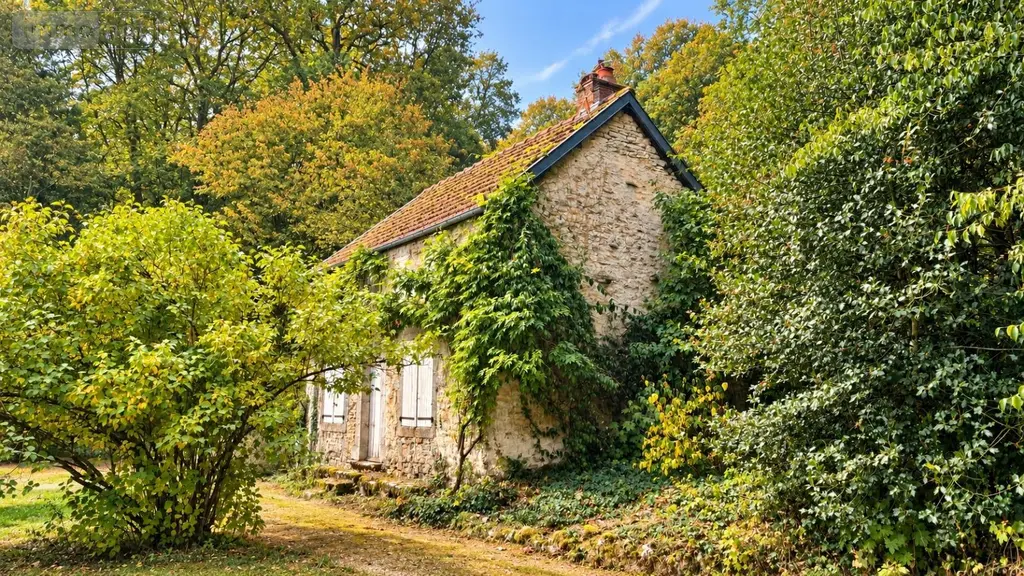 Propriete a vendre Le Montsaugeonnais 52190 Haute-Marne 52 1000 m2 1700000 euros achat_propriete_com_52405_52190 020