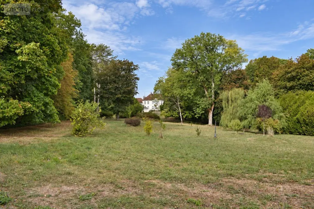 Propriete a vendre Le Montsaugeonnais 52190 Haute-Marne 52 1000 m2 1700000 euros achat_propriete_com_52405_52190 021