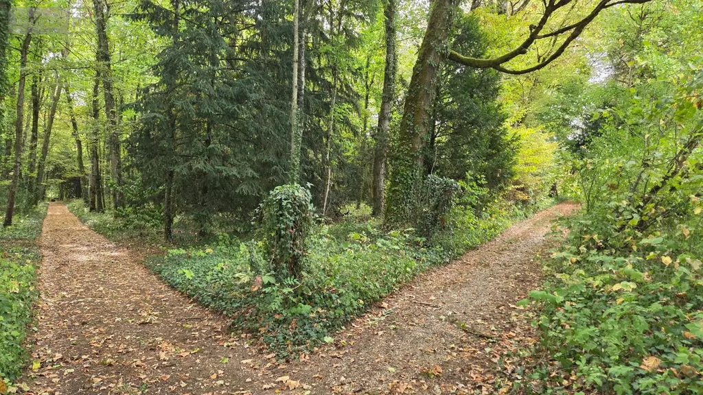 Propriete a vendre Le Montsaugeonnais 52190 Haute-Marne 52 1000 m2 1700000 euros achat_propriete_com_52405_52190 022