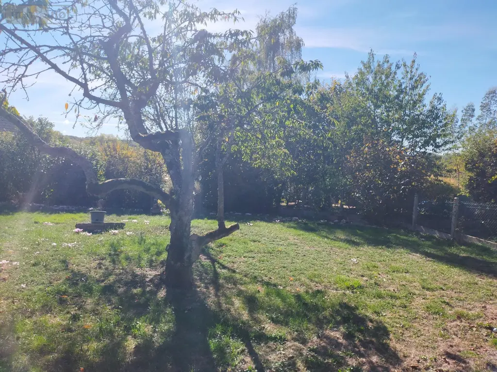 Maison a vendre Bléneau 89220 Yonne 89 6 pièces 129904 euros 1009205 008
