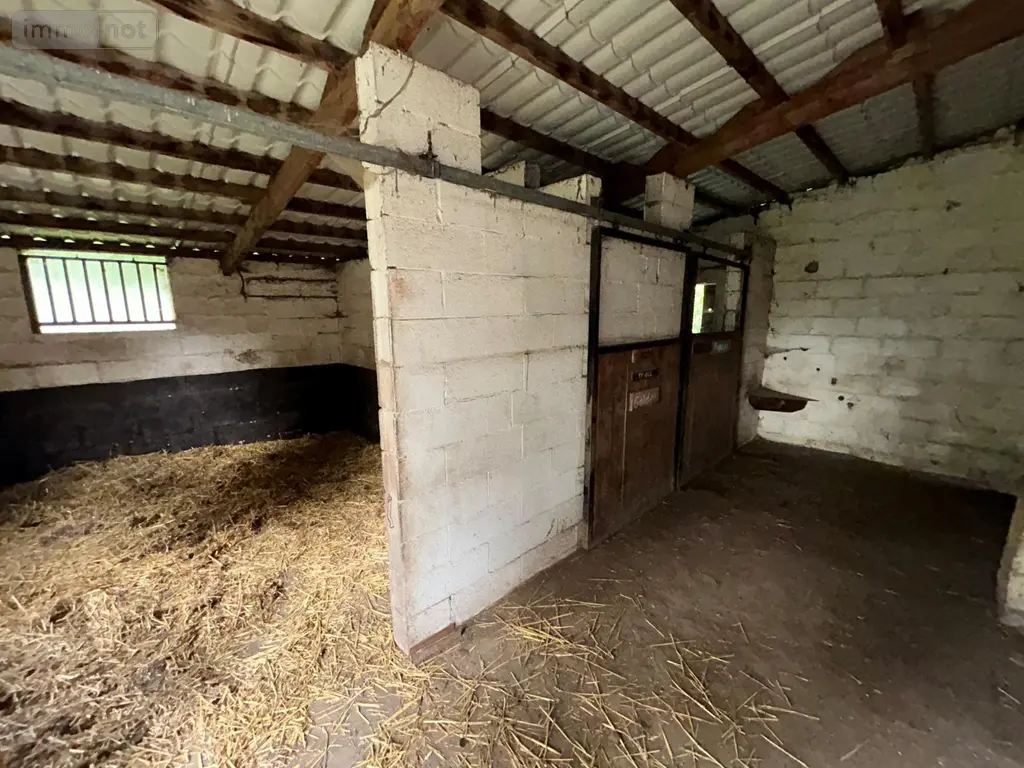Propriete a vendre Steenvoorde 59114 Nord 59 290 m2 21950 pièces 696000 euros achat_propriete_com_59580_59114 027