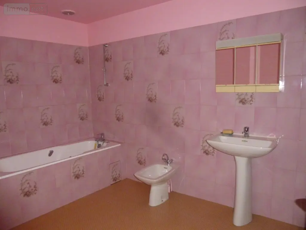 Maison a vendre Myennes 58440 Nièvre 58 87 m2 3 pièces 53000 euros ST 279 005