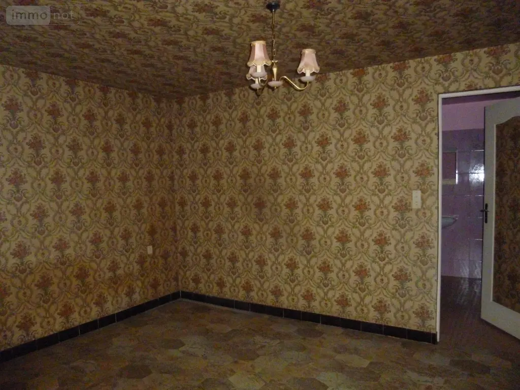 Maison a vendre Myennes 58440 Nièvre 58 87 m2 3 pièces 53000 euros ST 279 006