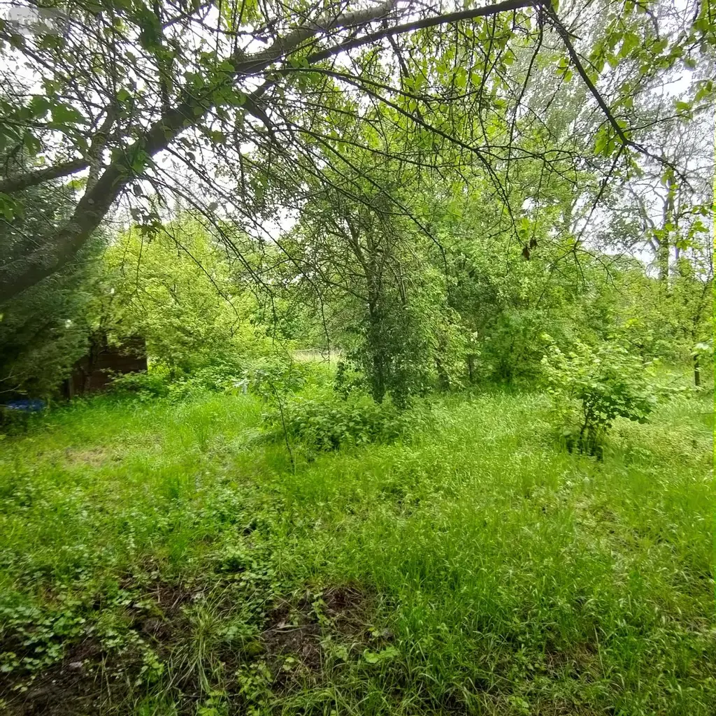 Maison a vendre Sains-du-Nord 59177 Nord 59 96 m2 6 pièces 76700 euros A2026 00146 011