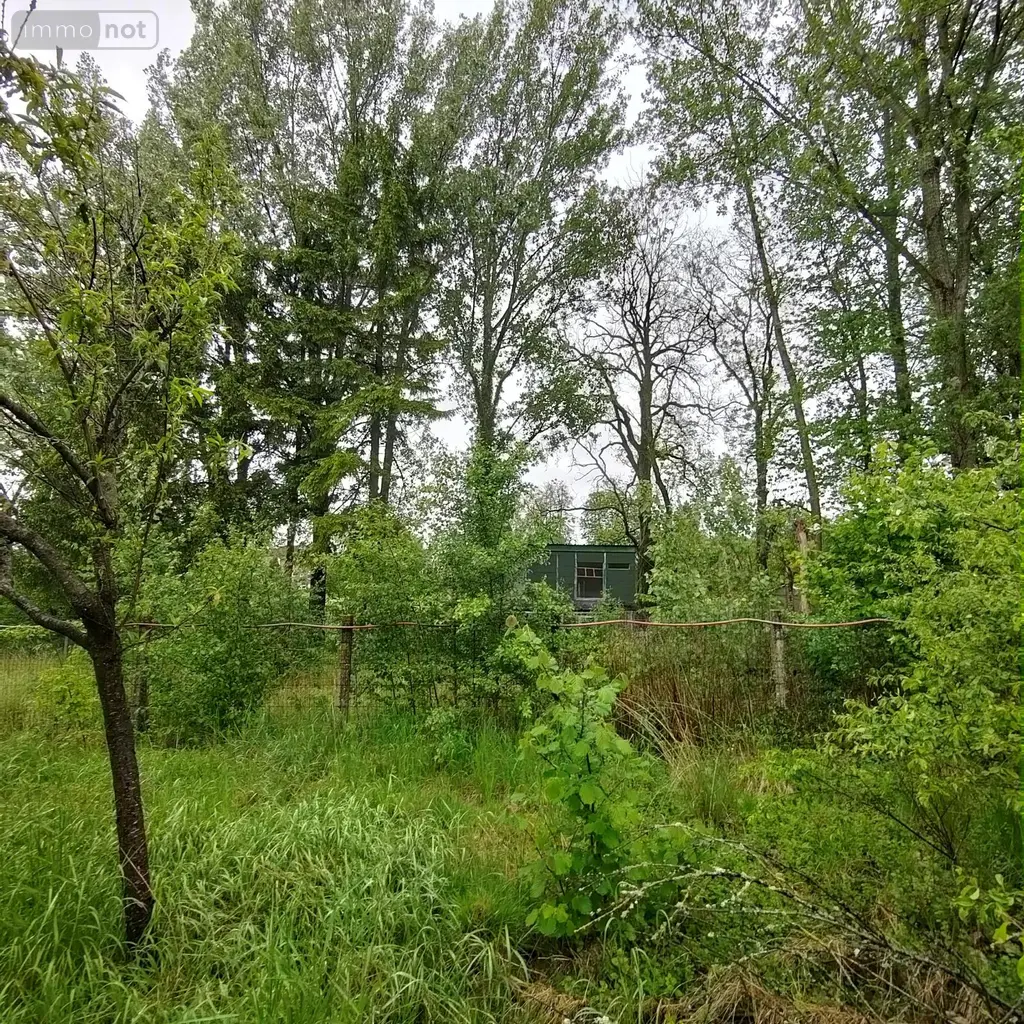 Maison a vendre Sains-du-Nord 59177 Nord 59 96 m2 6 pièces 76700 euros A2026 00146 012