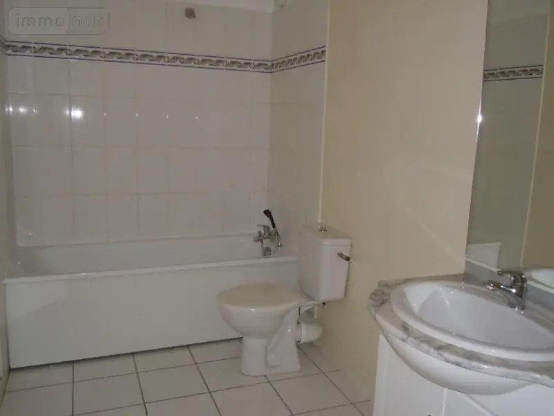Location appartement Villedieu-sur-Indre 36320 Indre 36 31 m2 1 pièce 330 euros villedieu 008