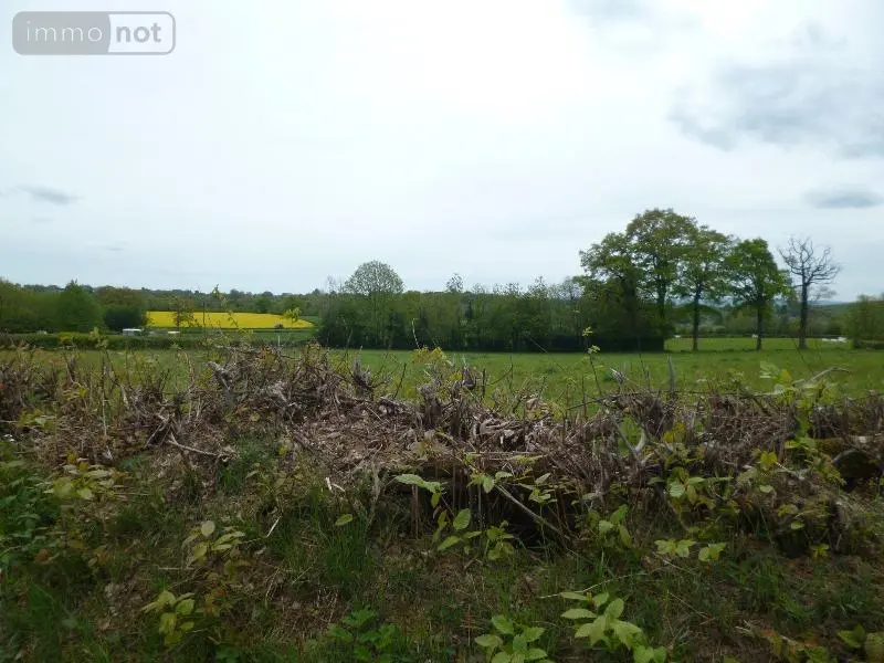 Terrain a batir a vendre Méasnes 23360 Creuse 23 5000 m2 21200 euros 11825/233 001