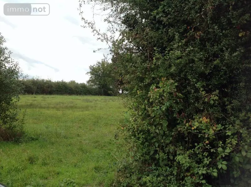 Terrain a batir a vendre Chaillac 36310 Indre 36 9298 m2 40810 euros 037/1279 002