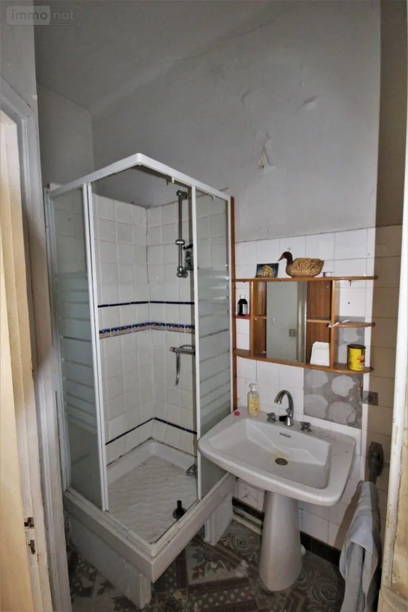 Maison a vendre Graulhet 81300 Tarn 81 350 m2 10 pièces 555000 euros 2855 022