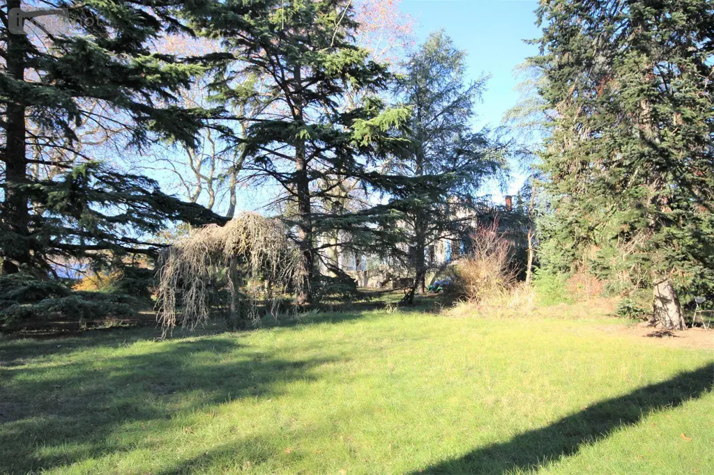 Maison a vendre Graulhet 81300 Tarn 81 350 m2 10 pièces 555000 euros 2855 024