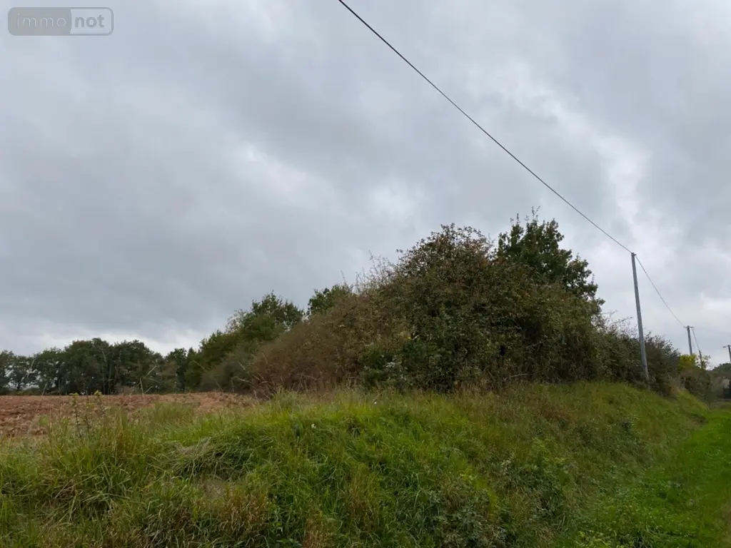Terrain a batir a vendre Paulnay 36290 Indre 36 13800 euros 1035448 002