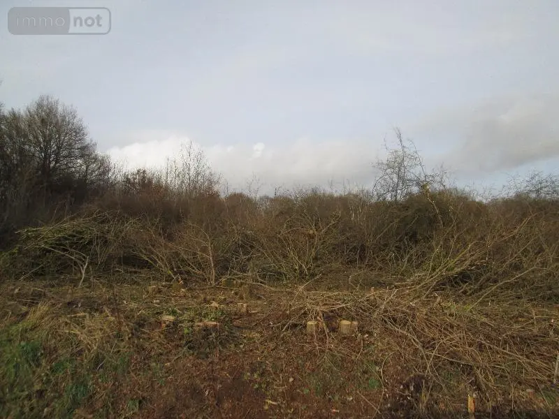 Terrain a batir a vendre Mennetou-sur-Cher 41320 Loir-et-Cher 41 3258 m2 63780 euros 41036/1516 002