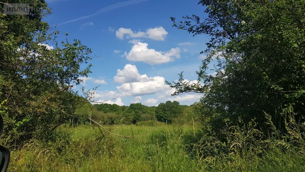 Terrain a batir a vendre Mennetou-sur-Cher 41320 Loir-et-Cher 41 3258 m2 63780 euros 41036/1516 001