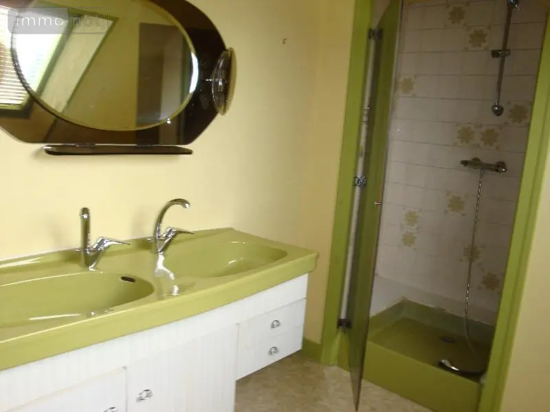 Immeuble de rapport a vendre Mauriac 15200 Cantal 15 53000 euros 15060/686 003