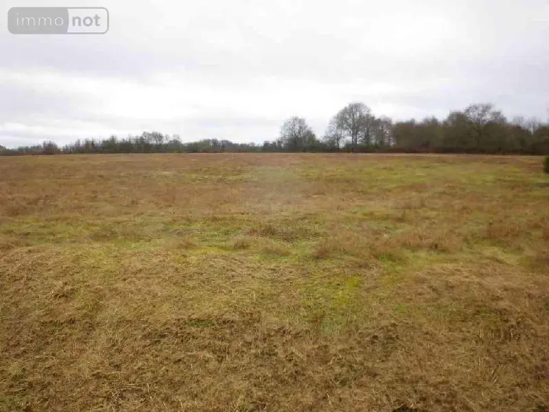 Terrain a batir a vendre Maray 41320 Loir-et-Cher 41 4660 m2 32520 euros 141959G 003